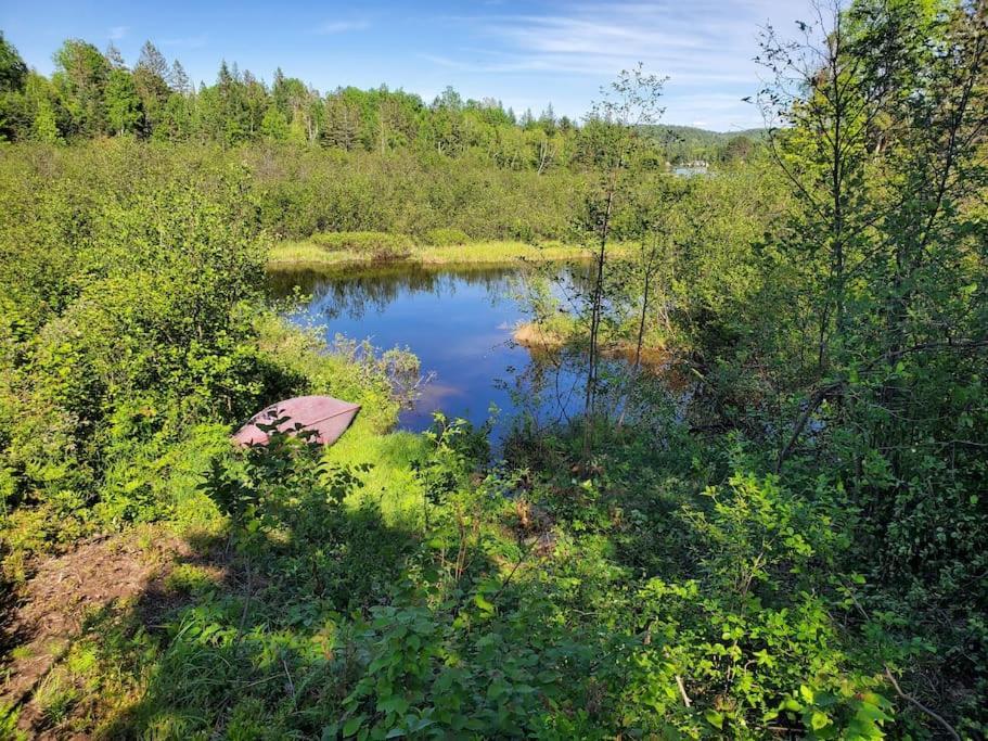 Chalets Nabu La Sacacomie - Riviere - Billard Saint-Alexis-des-Monts Exteriör bild