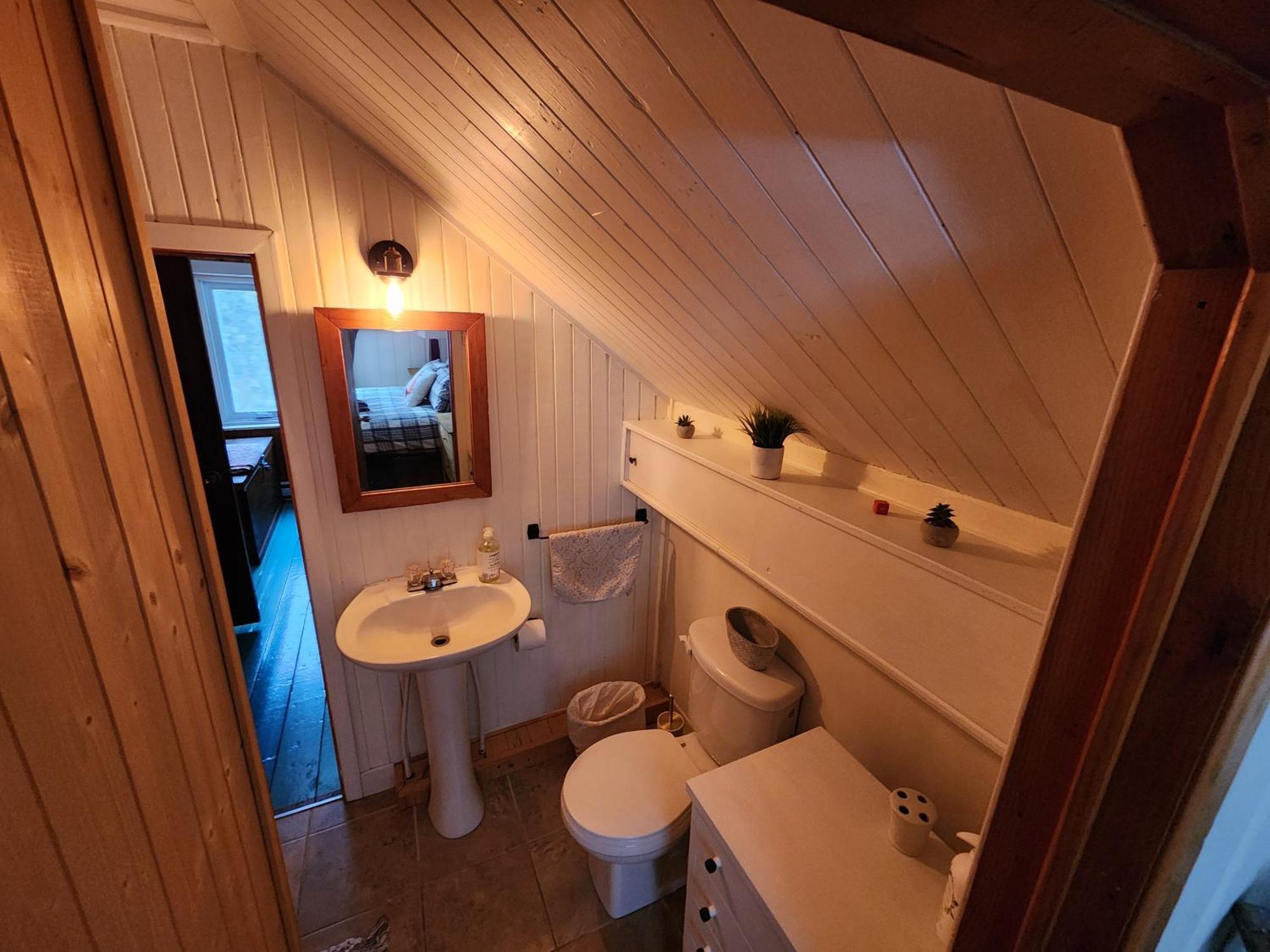 Chalets Nabu La Sacacomie - Riviere - Billard Saint-Alexis-des-Monts Exteriör bild