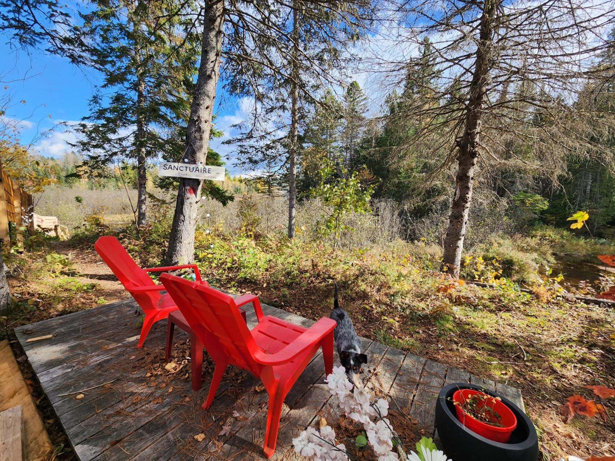 Chalets Nabu La Sacacomie - Riviere - Billard Saint-Alexis-des-Monts Exteriör bild